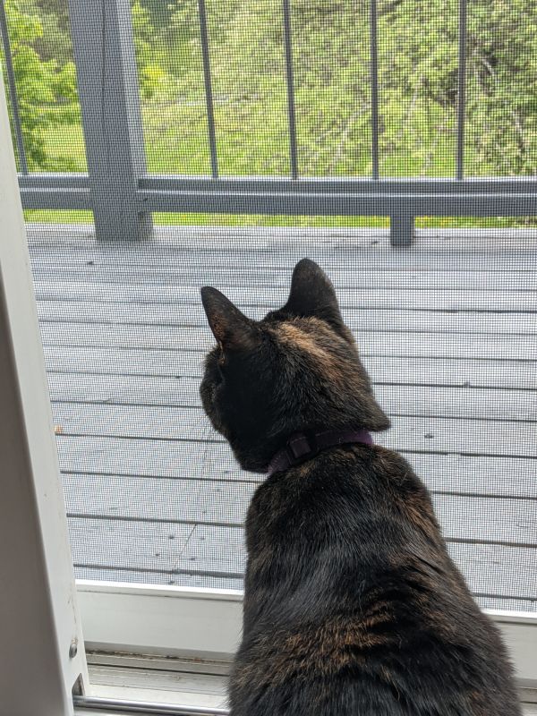 Screen Door Installation
