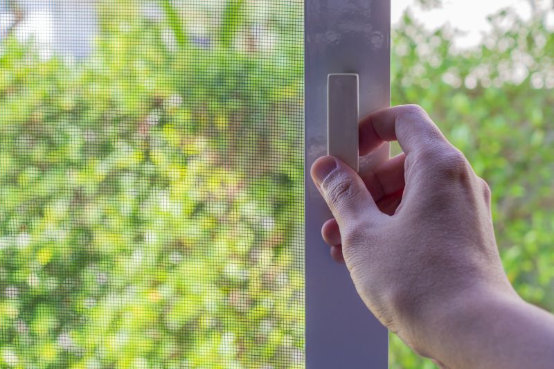 Elegant Screen Door Designs